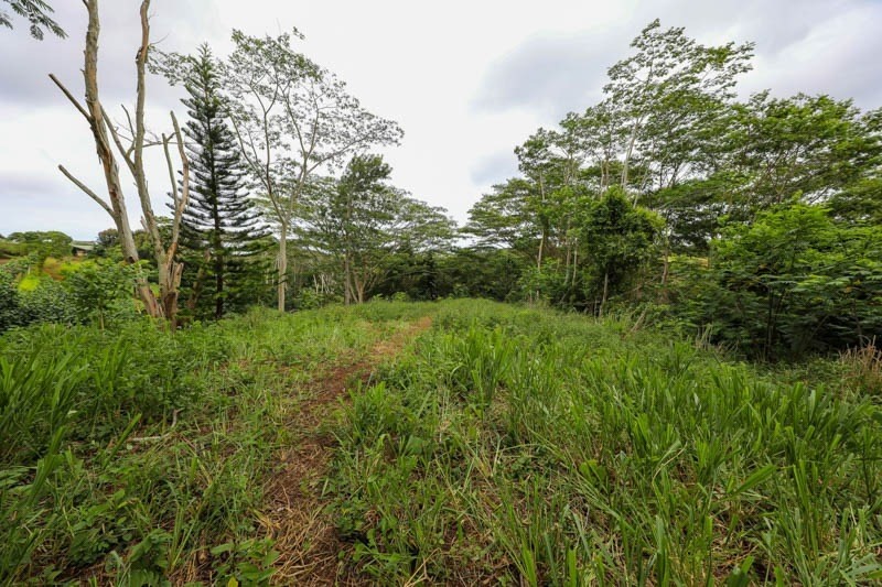 37 Omao Road Koloa, HI 96756 - Photo 19 of 29