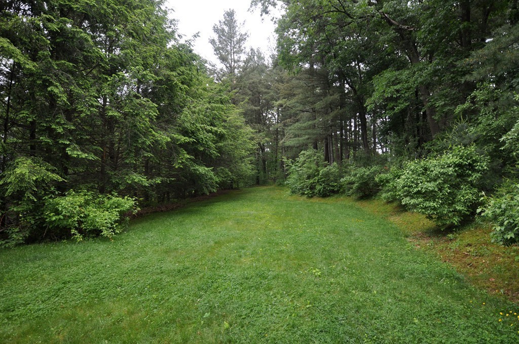 138 Tower Road Lincoln, MA 01773 - Photo 21 of 23 a view of a lush green space