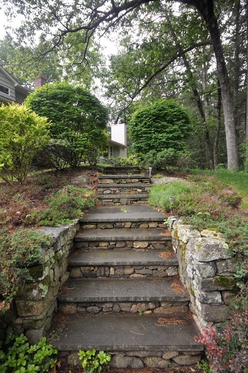 138 Tower Road Lincoln, MA 01773 - Photo 23 of 23 a view of a yard with plants and large trees