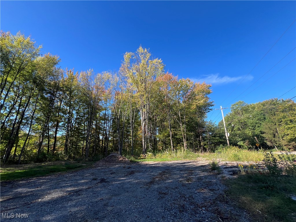 8625 Bainbridge Road Chagrin Falls, OH 44023 - Photo 5 of 20 View of wooded area