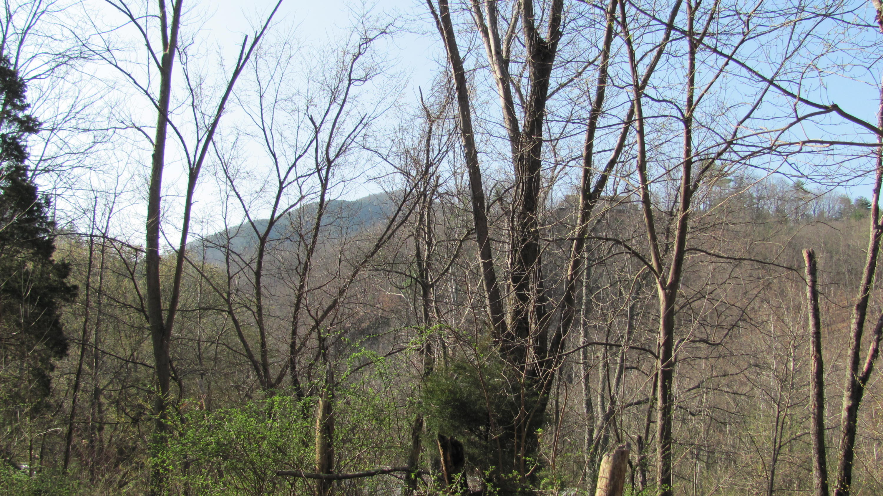 0 Southwest River Road Salem, VA 24153 - Photo 1 of 4 6.388 Wooded Acres