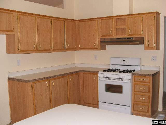 152 Rose Peak Road Dayton, NV 89403 - Photo 3 of 7 Photo 3