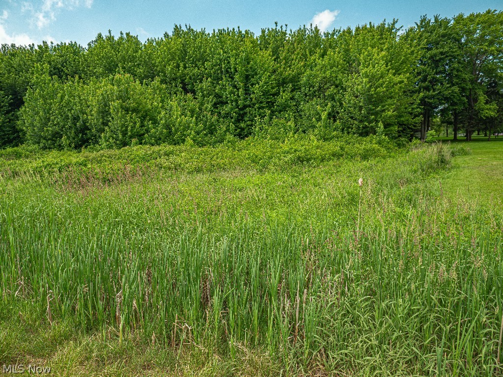 0 Bushnell Road Conneaut, OH 44030 - Photo 20 of 24 View of nature