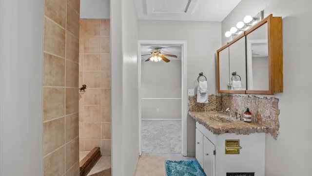 a bathroom with a granite countertop sink a mirror and shower