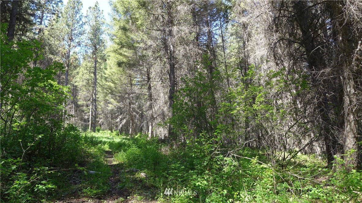 51 Paintbrush Road Republic, WA 99166 - Photo 21 of 25 Gallery Image 21