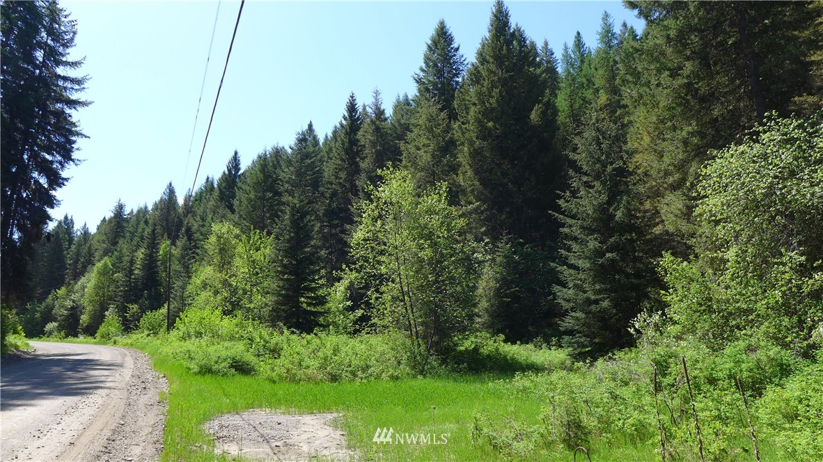 51 Paintbrush Road Republic, WA 99166 - Photo 24 of 25 Gallery Image 24