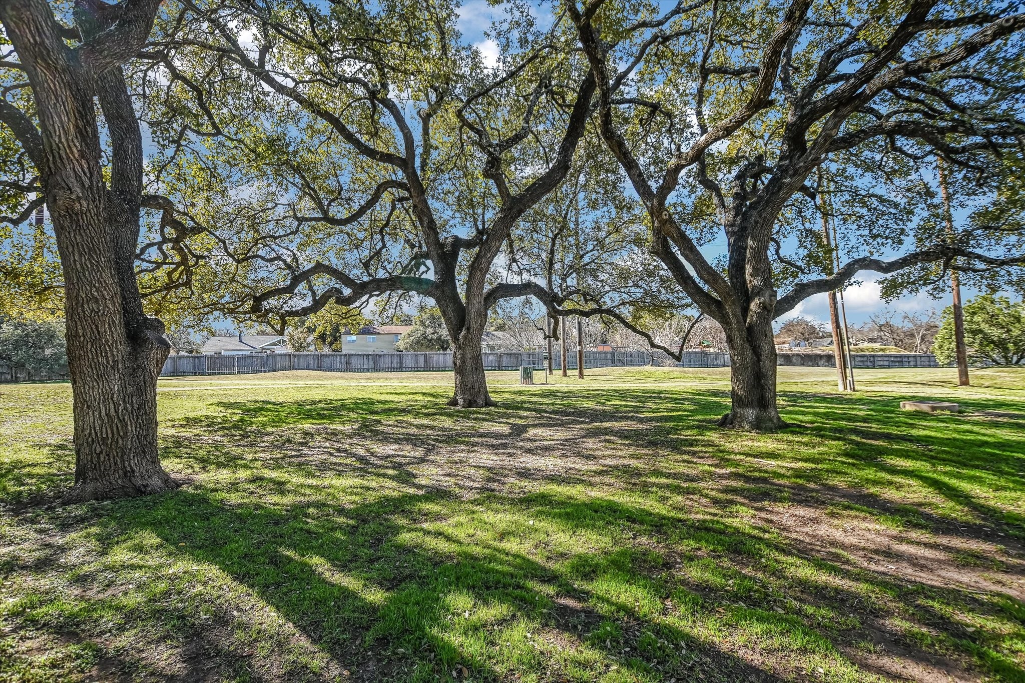 Undisclosed Address Austin, TX 78758 - Photo 17 of 19 a view of yard with tree s