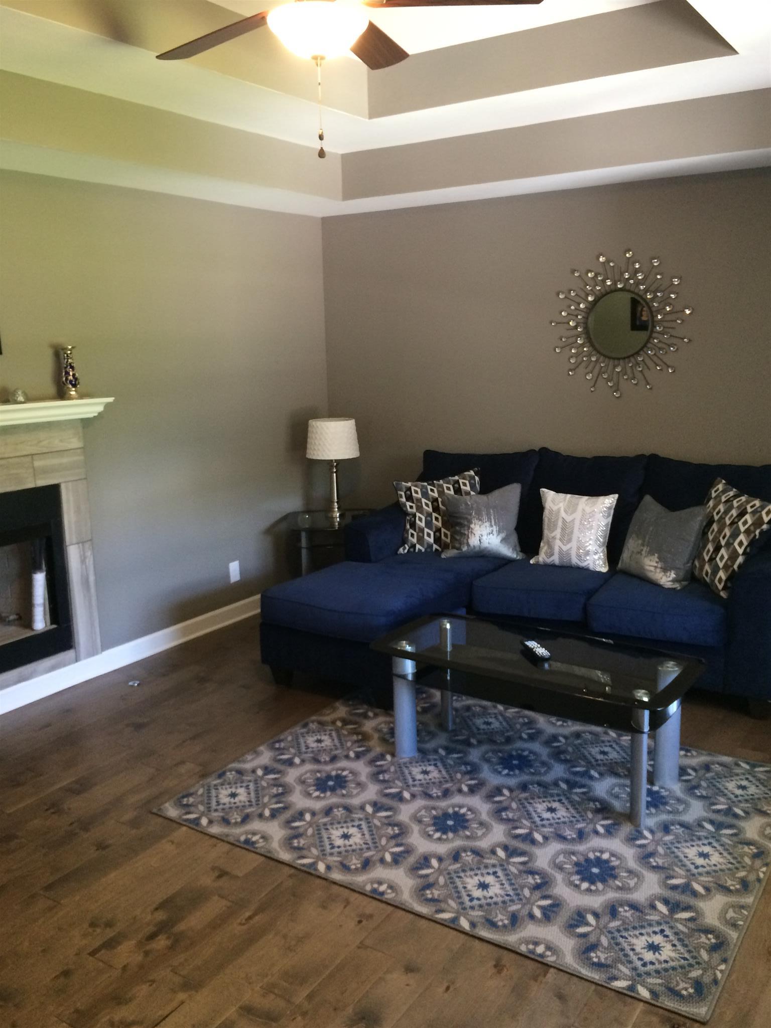 3317 Pleasant Grove Road White House, TN 37188 - Photo 2 of 22 Trey ceilings in living room