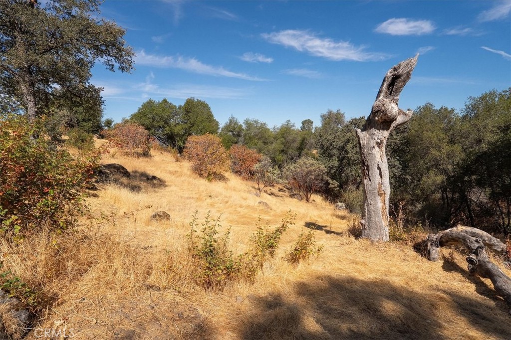 3279 Quail Run Road Mariposa, CA 95338 - Photo 27 of 37
