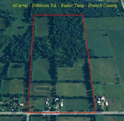 1160 Robinson Road Quincy, MI 49082 - Photo 1 of 9 Primary Photo