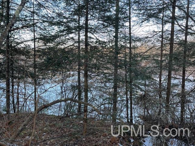 11812 East Howen Road Long Lake, WI 54542 - Photo 9 of 20