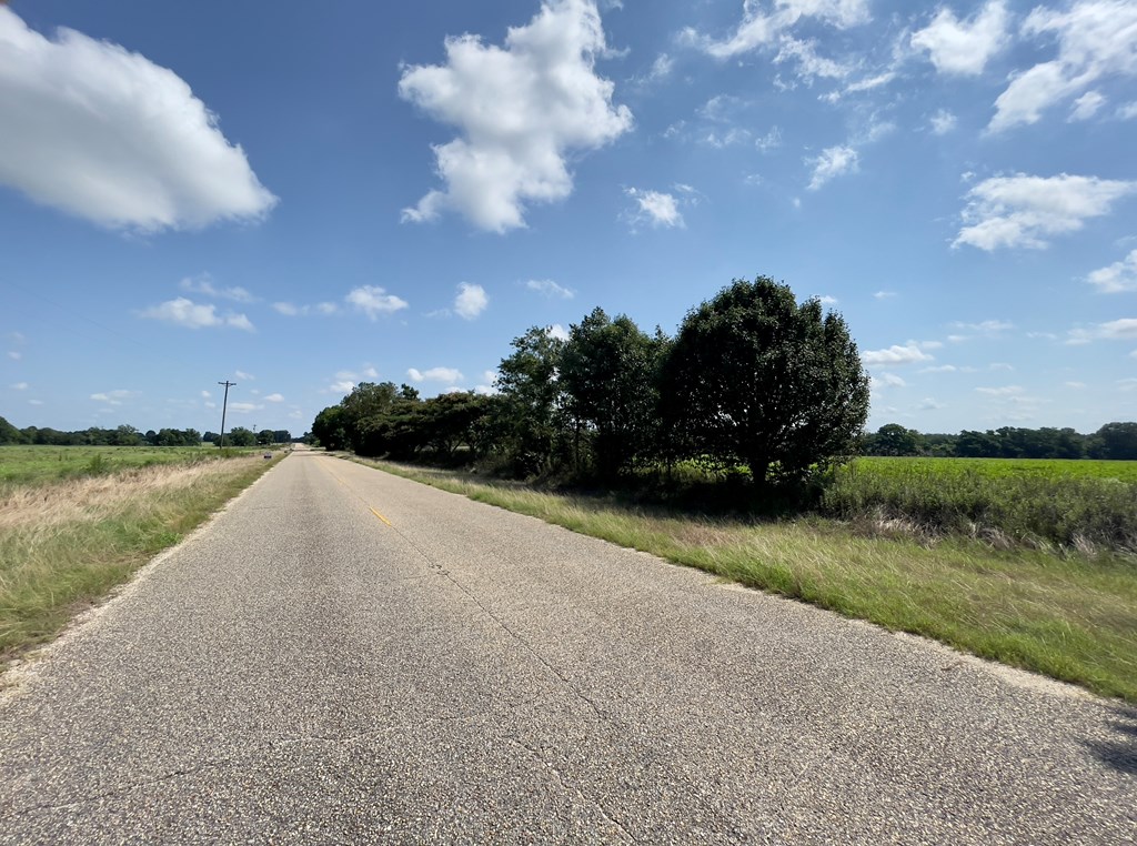 0 Gilley Mill Road Webb, AL 36376 - Photo 8 of 14
