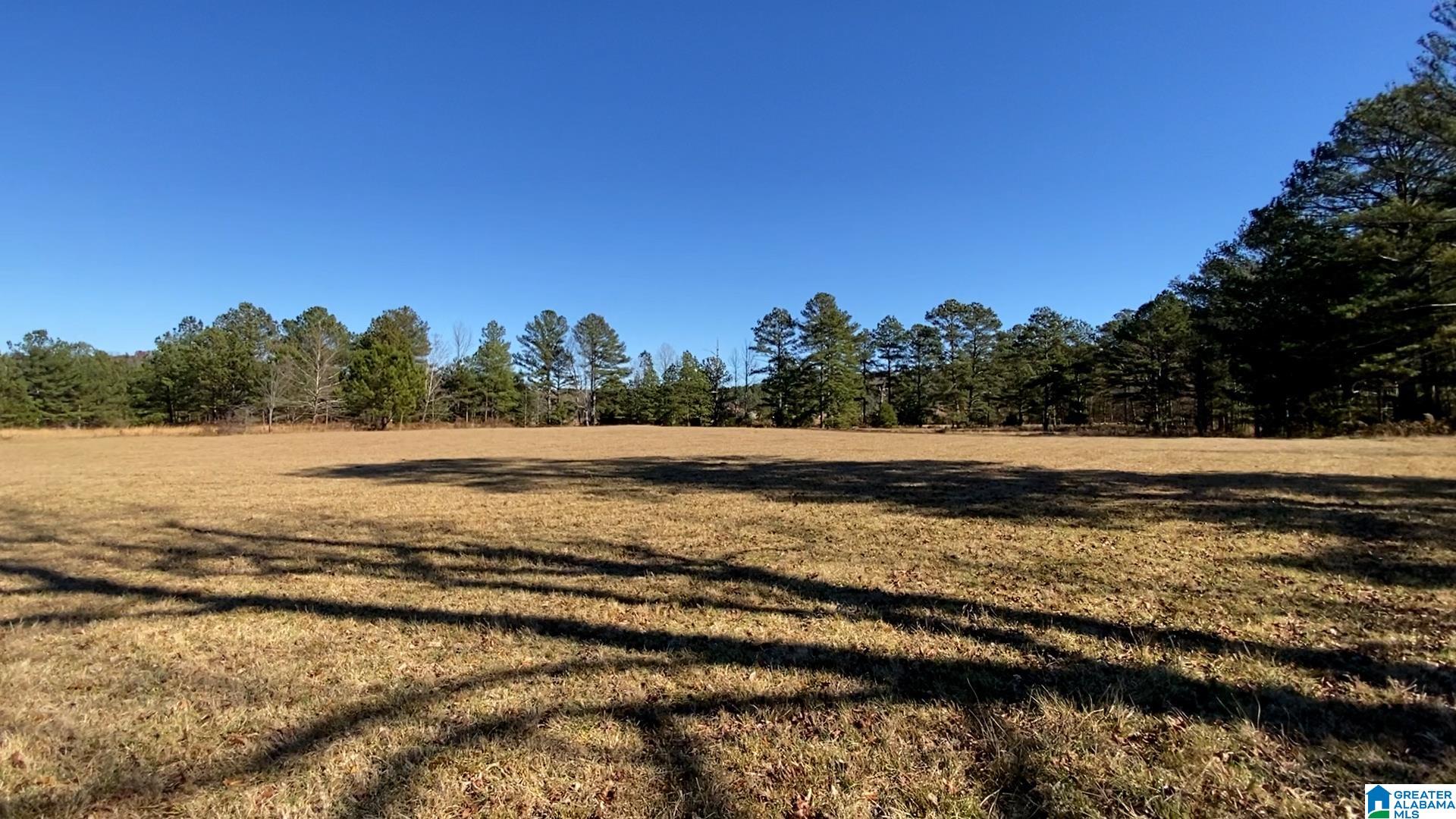 0 Highway 132, Unit 11 / ACRES Oneonta, AL 35121 - Photo 4 of 18