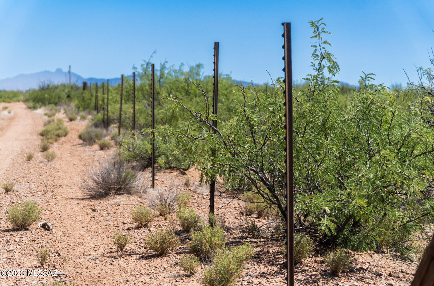 40-acres South Rustic Trail, Unit 138 Pearce, AZ 85625 - Photo 6 of 17