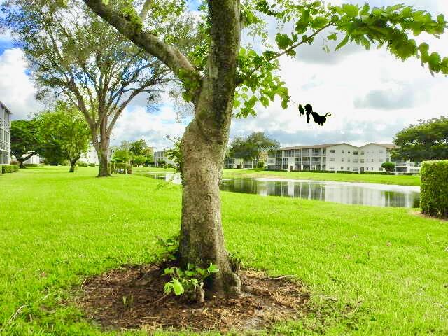 556 Fanshaw North, Unit 556 Boca Raton, FL 33434 - Photo 51 of 73 Lake View