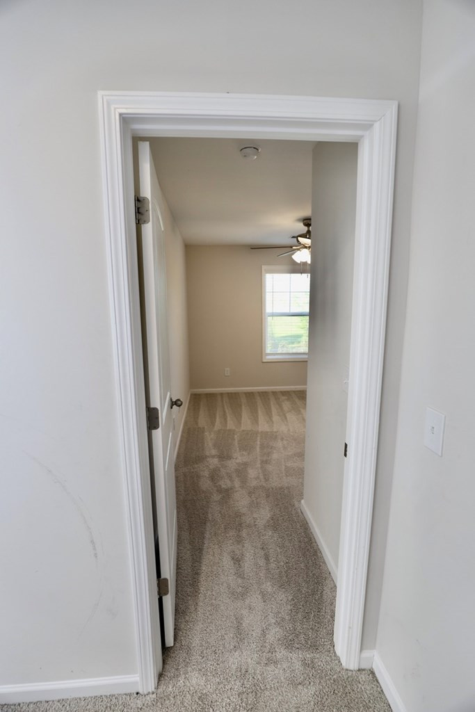1322 Shiloh Church Road Lugoff, SC 29078 - Photo 61 of 75