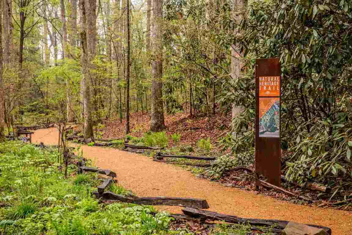 262 Rock Creek Road Clemson, SC 29631 - Photo 10 of 10