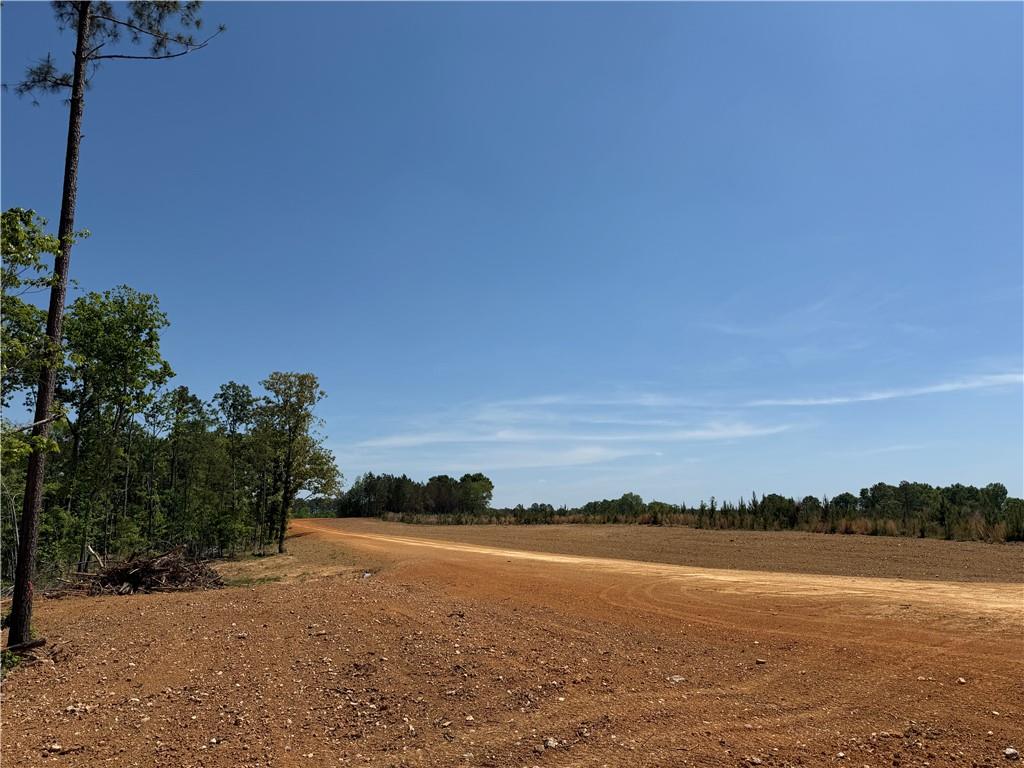 1000 Hidden Harbor Road Lincolnton, GA 30817 - Photo 19 of 45 Gallery Image 19