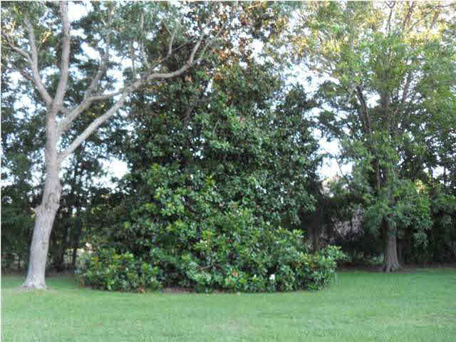 399 North Old Canton Road Madison, MS 39110 - Photo 19 of 19 Photo 19