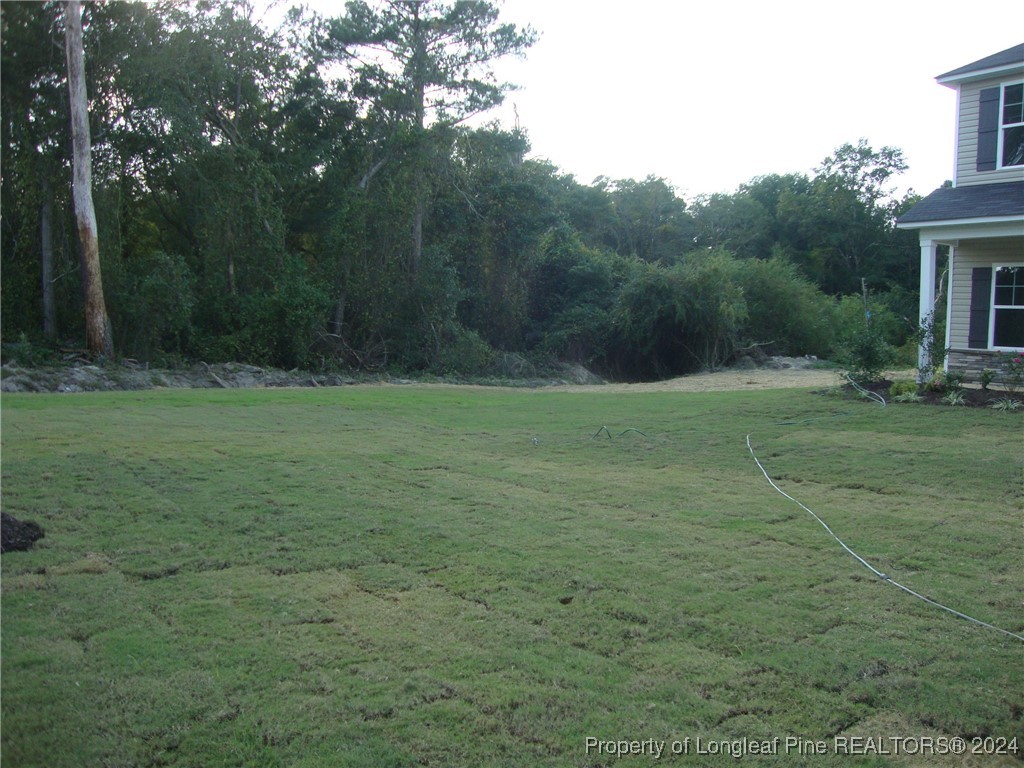 547 Doc Brown Road Raeford, NC 28376 - Photo 2 of 29 Gallery Image 2