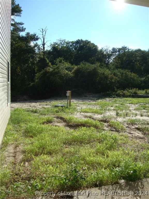 547 Doc Brown Road Raeford, NC 28376 - Photo 29 of 29 Gallery Image 29
