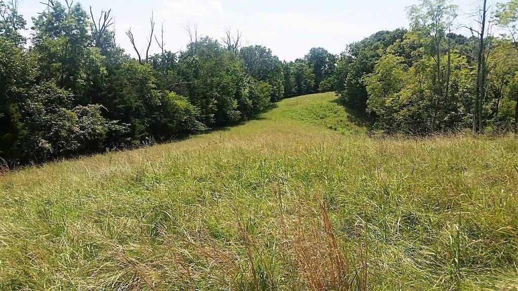 0 Owenton Road Stamping Ground, KY 40379 - Photo 5 of 17 Photo 5