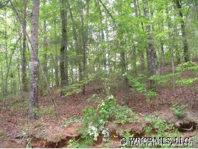 Lot 1 Jocassee Point Road, Unit 1 Salem, SC 29676 - Photo 5 of 12 Gallery Image 5