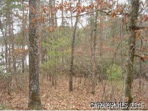 Lot 1 Jocassee Point Road, Unit 1 Salem, SC 29676 - Photo 7 of 12 Gallery Image 7