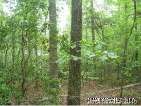 Lot 1 Jocassee Point Road, Unit 1 Salem, SC 29676 - Photo 8 of 12 Gallery Image 8