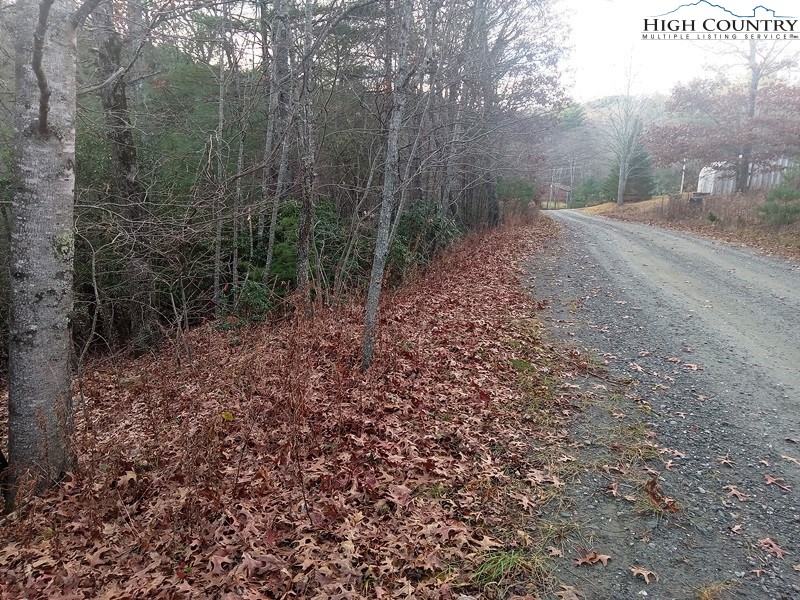Windy Hill Road Fleetwood, NC 28626 - Photo 1 of 20 a view of a forest filled with trees