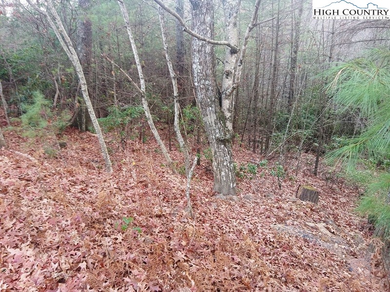 Windy Hill Road Fleetwood, NC 28626 - Photo 12 of 20 a backyard of a house with lots of green space