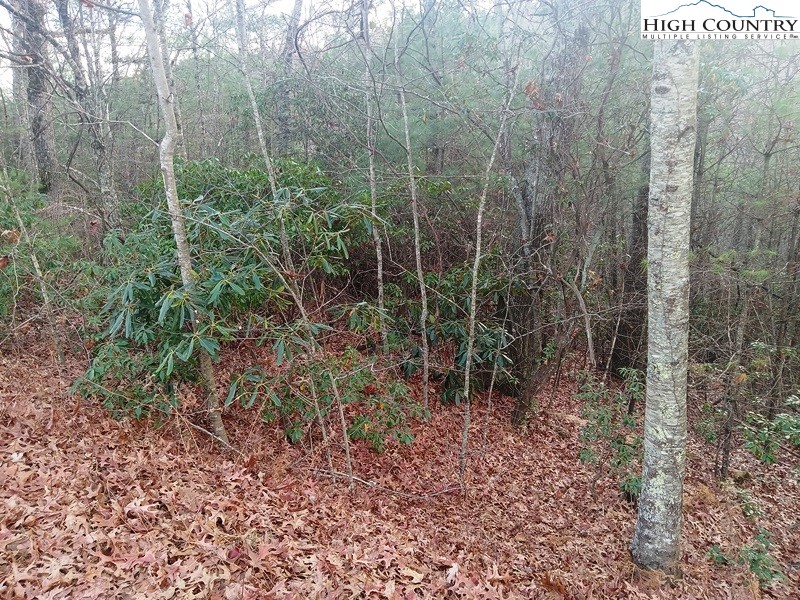 Windy Hill Road Fleetwood, NC 28626 - Photo 14 of 20