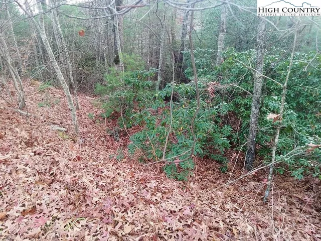 a view of bathroom with shower and a mirror