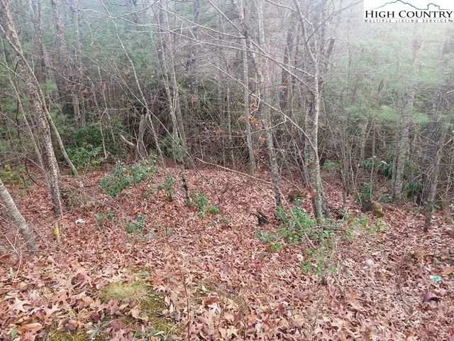 a view of a yard with trees