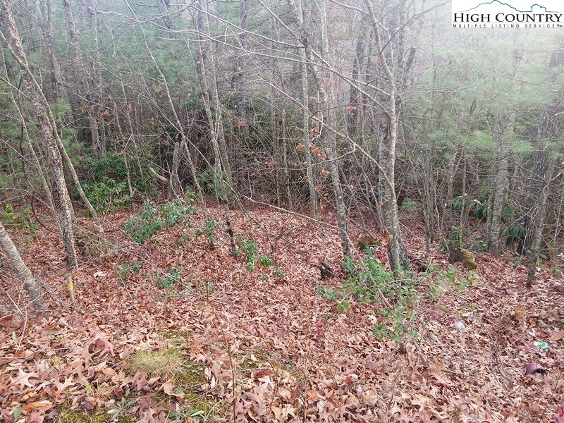 Windy Hill Road Fleetwood, NC 28626 - Photo 18 of 20 a view of a yard with plants and a bench
