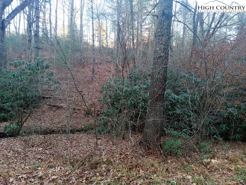 Windy Hill Road Fleetwood, NC 28626 - Photo 4 of 20 a view of a dry yard with trees