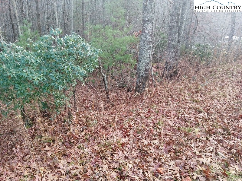 Windy Hill Road Fleetwood, NC 28626 - Photo 9 of 20 a view of a yard with plants and wooden fence