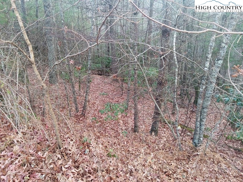 Windy Hill Road Fleetwood, NC 28626 - Photo 10 of 20 a backyard of a house with lots of green space