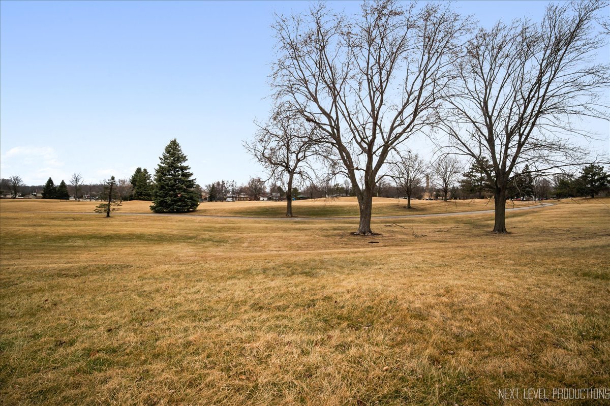 5628 Crestwood Road Matteson, IL 60443 - Photo 29 of 30 a view of yard with trees