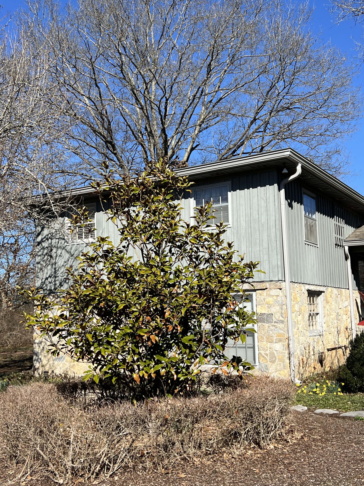 713 Cranor Road Murfreesboro, TN 37130 - Photo 18 of 18 Gallery Image 18