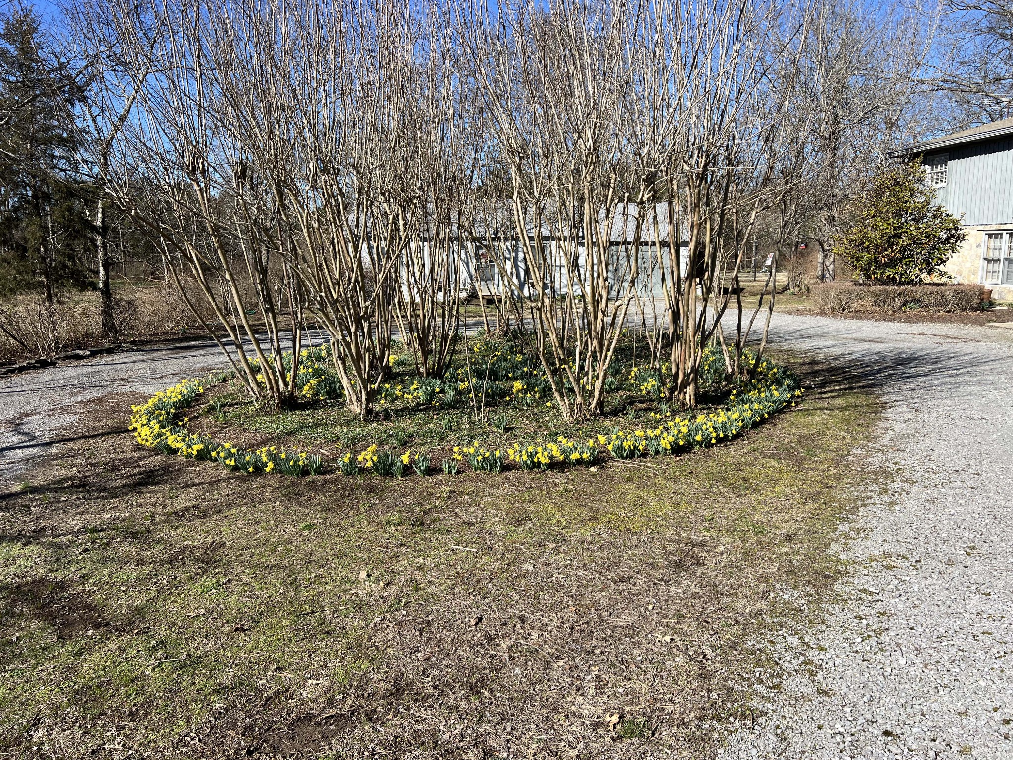 713 Cranor Road Murfreesboro, TN 37130 - Photo 5 of 18 Gallery Image 5