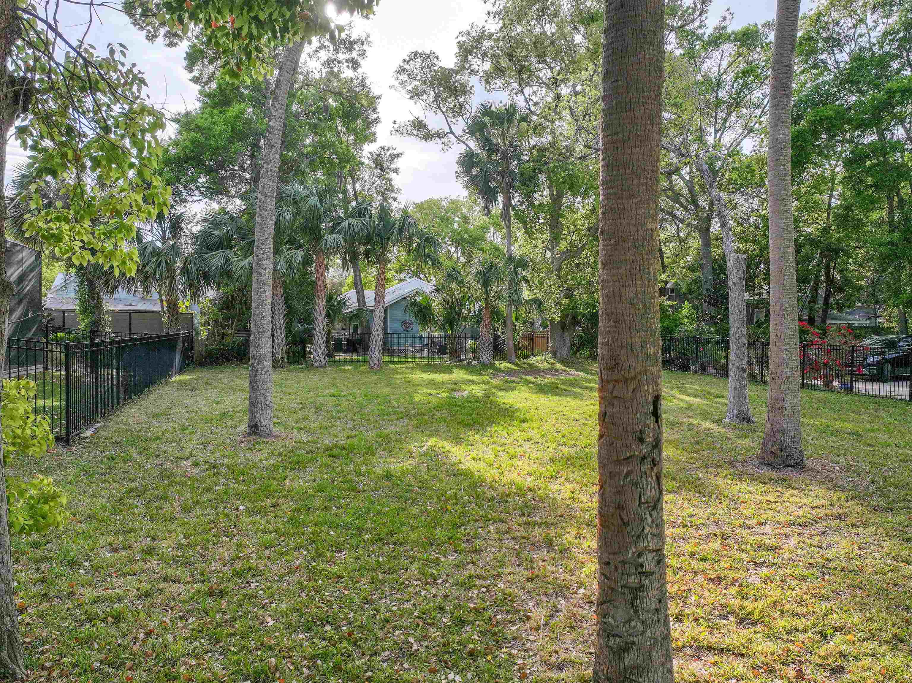 160 Washington Street St. Augustine, FL 32084 - Photo 12 of 56 a view of a garden with a tree