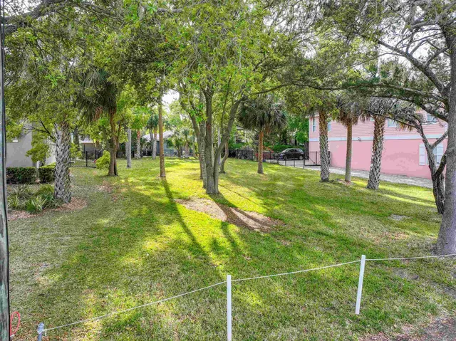 a view of a trees in a yard