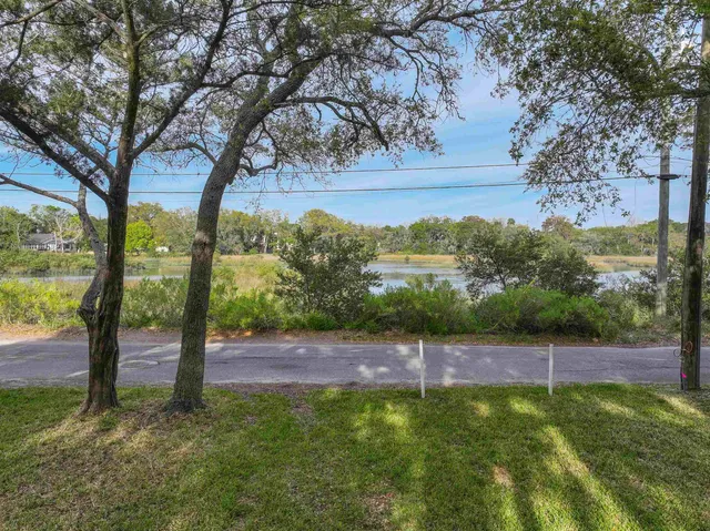 a view of a park with large trees