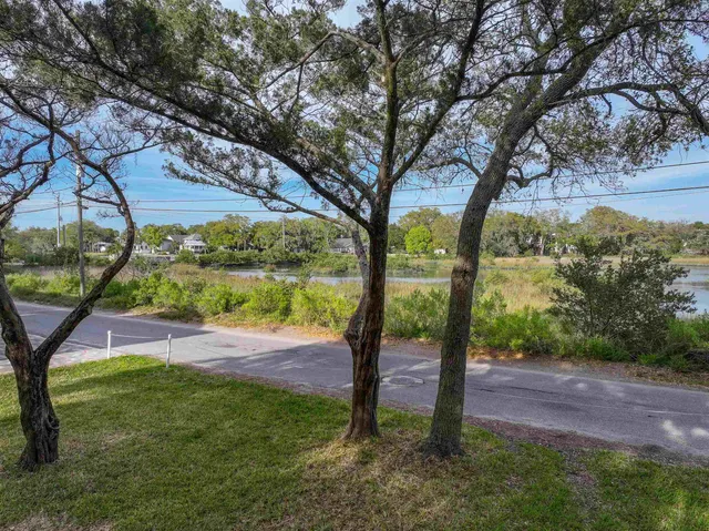 a view of a park with large trees