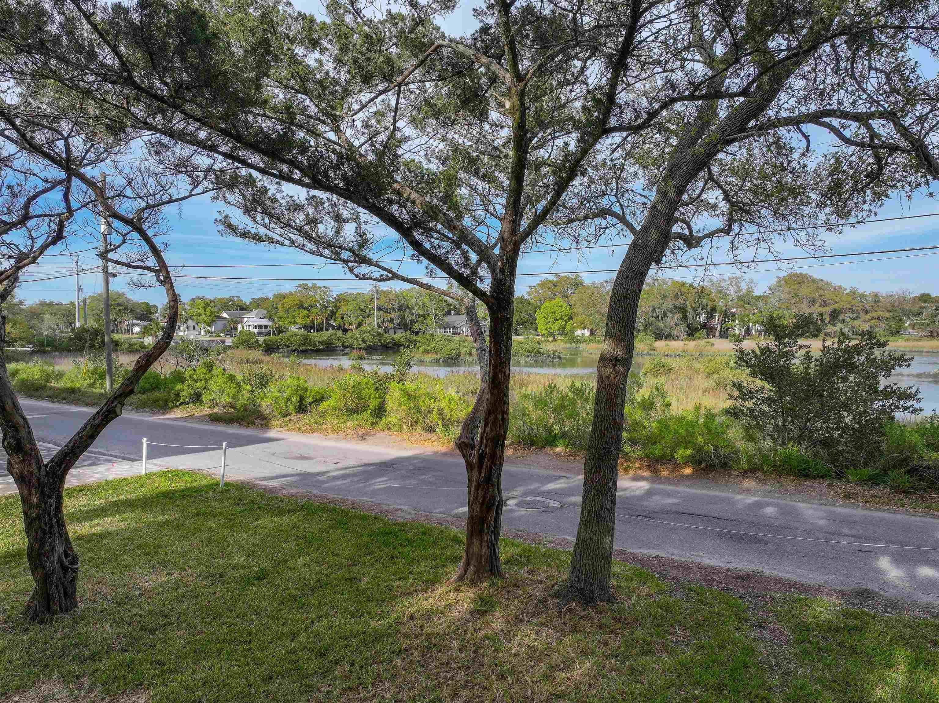 160 Washington Street St. Augustine, FL 32084 - Photo 3 of 56 a view of a park with large trees