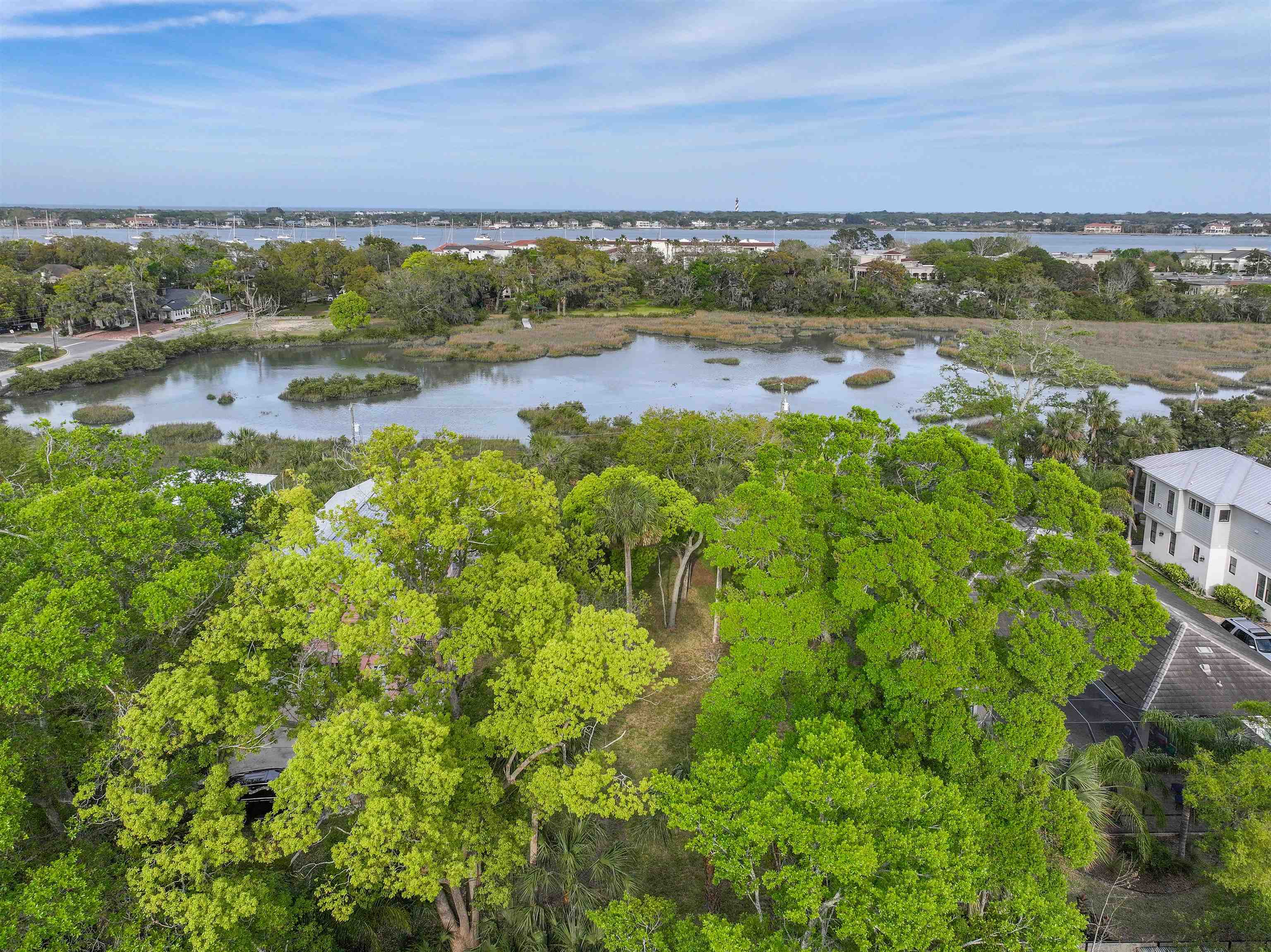 160 Washington Street St. Augustine, FL 32084 - Photo 41 of 56 a view of lake and mountain