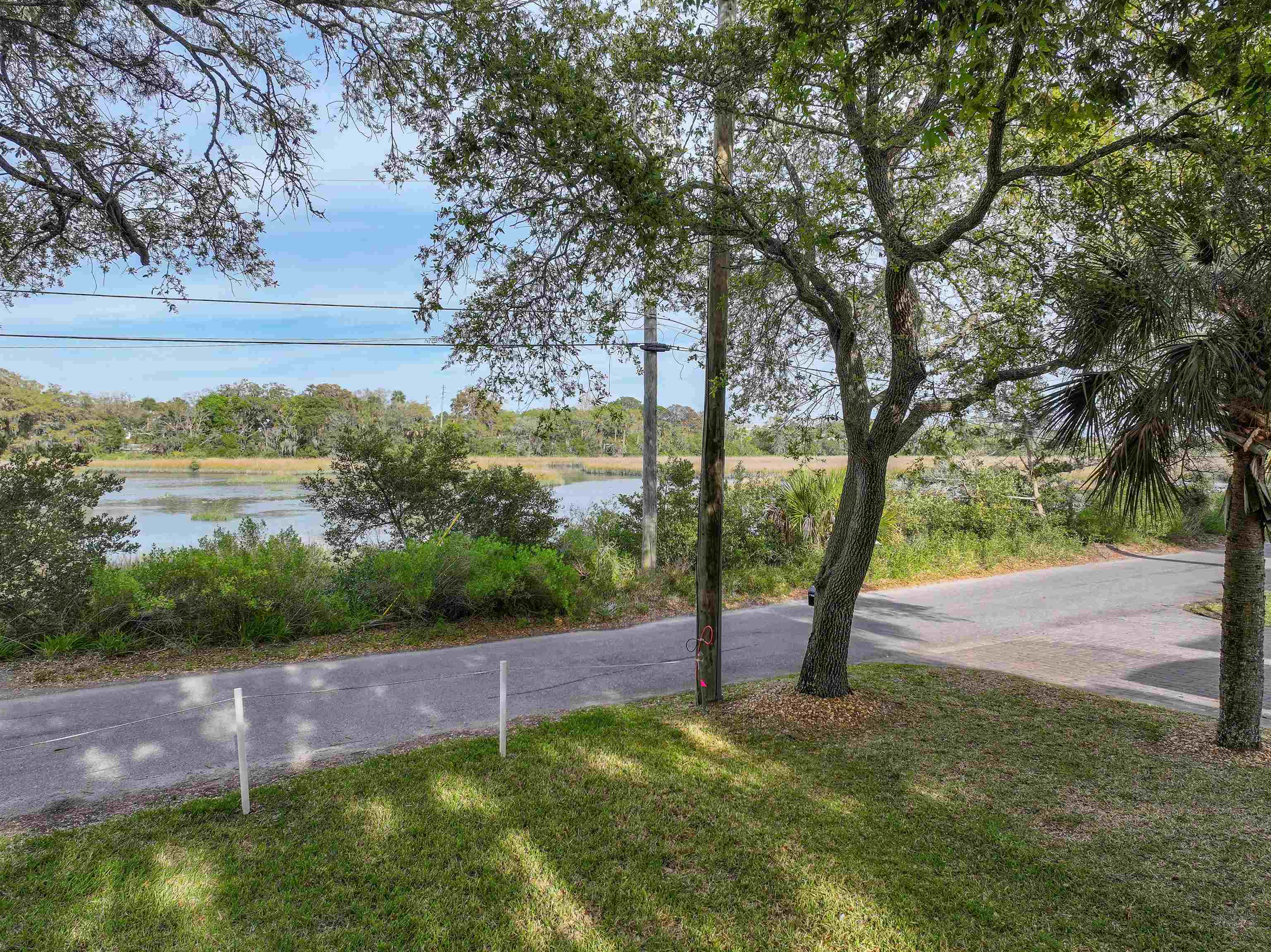 160 Washington Street St. Augustine, FL 32084 - Photo 10 of 56 a view of a yard with a tree