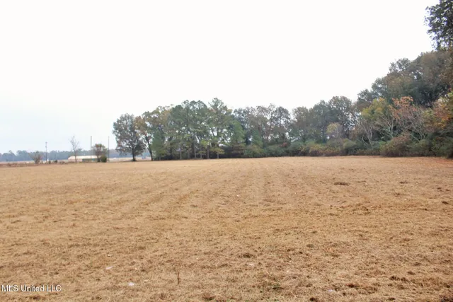 $139,000 | 4141 Old 63 North, Lucedale, MS 39452