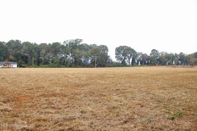 $139,000 | 4141 Old 63 North, Lucedale, MS 39452